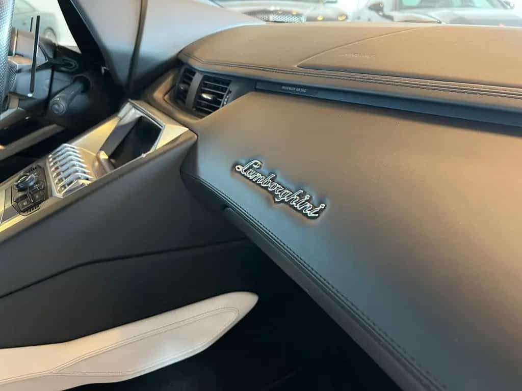 Lamborghini Aventador 50° Anniversario-ROADSTER-FINANZIERUNG 04/2014-photo-15