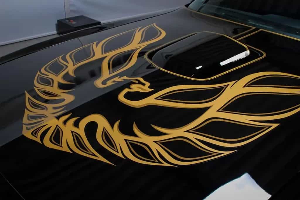 Pontiac Trans Am "Bandit" 02/1978-photo-2