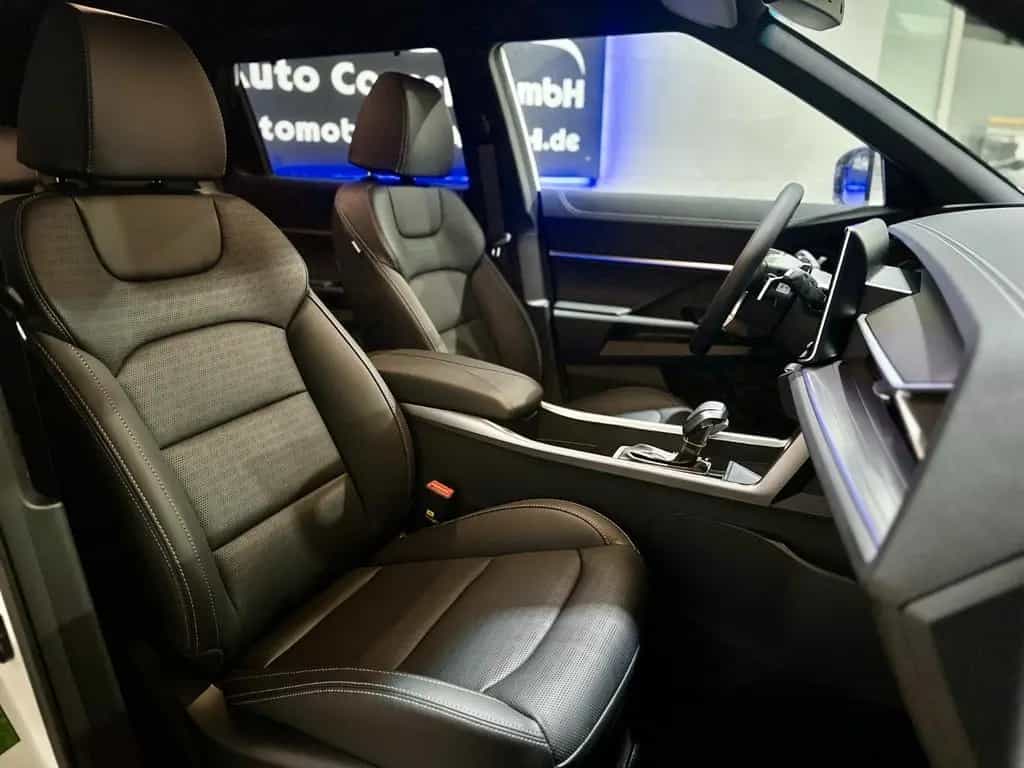 Ssangyong Torres Sapphire *20"LM*SHZ*Finanzierung möglich* 10/2024-photo-17