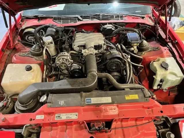 Pontiac Firebird 05/1991-photo-11