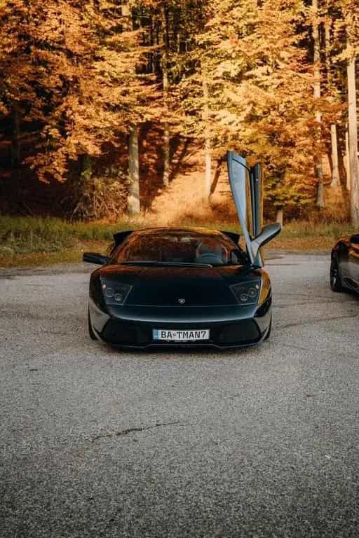 Lamborghini Murciélago LP640 / Carbon/Lift 10/2006-photo-35
