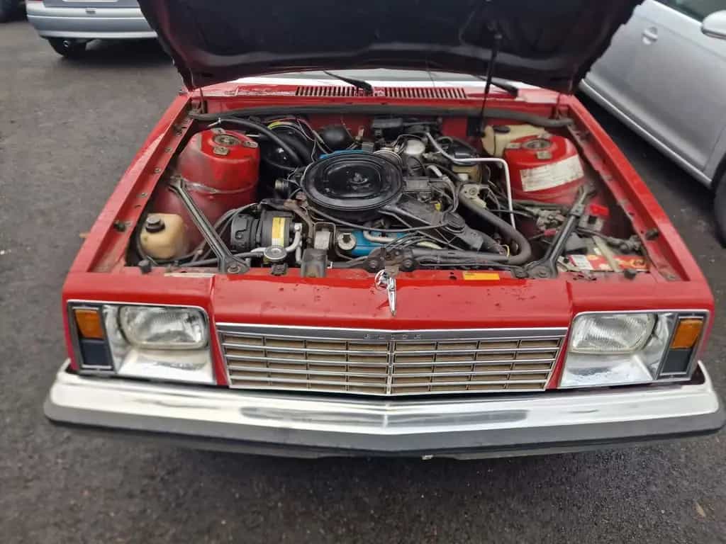 Buick Skylark 2.8 Automatik 08/1980-photo-12