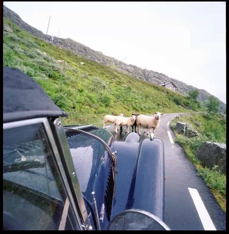 Morgan Plus 8 - Poesie auf Rädern 09/2001-photo-14