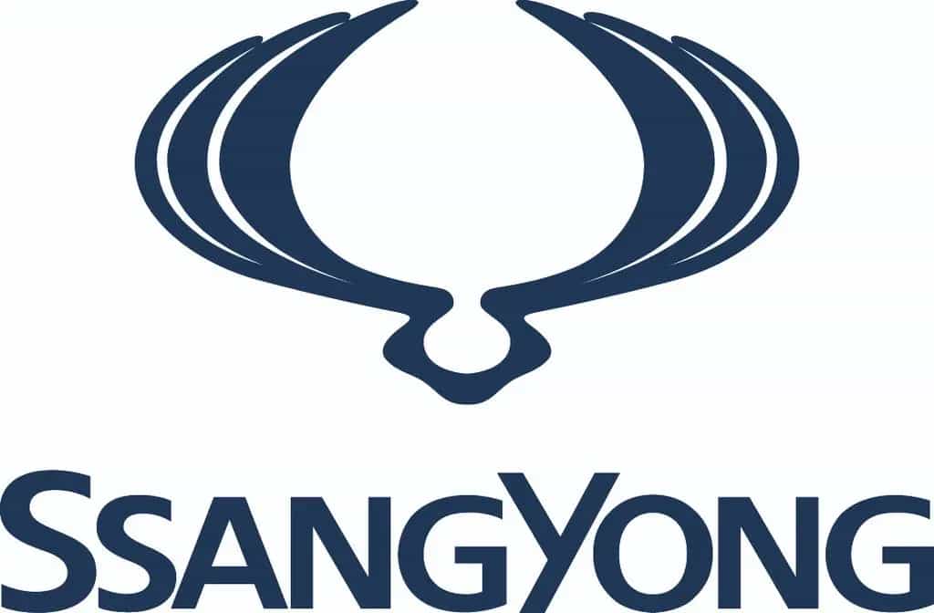 Ssangyong Rexton 2.2 Diesel Sapp. 4WD AT, AHK, Trittbrett 07/2022-photo-14