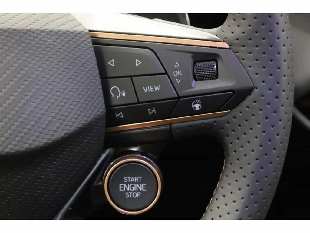 Cupra Terramar 2.0 TSI 4Drive VZ DSG AHK/Pano/LED/SH 05/2025-photo-10