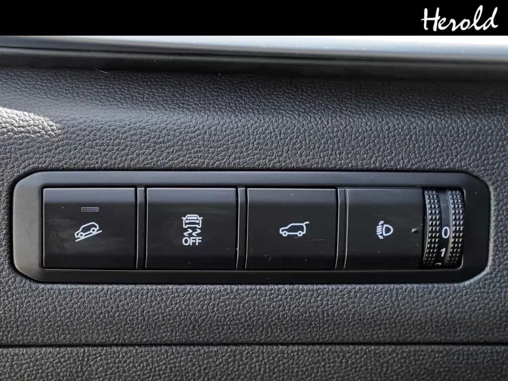 BAIC Beijing X75 02/2025-photo-11