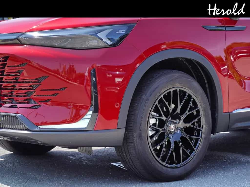 BAIC Beijing X75 02/2025-photo-13