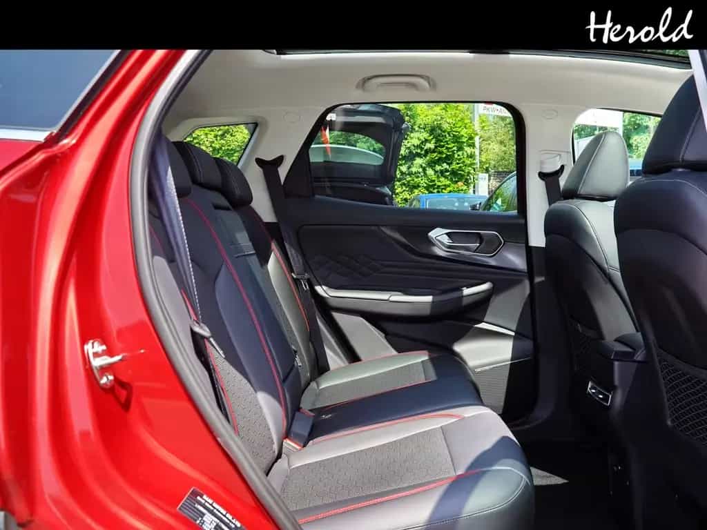 BAIC Beijing X75 02/2025-photo-4