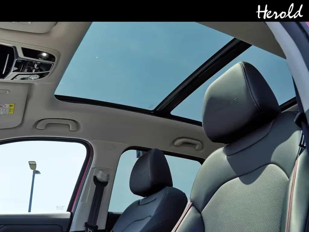 BAIC Beijing X75 02/2025-photo-9