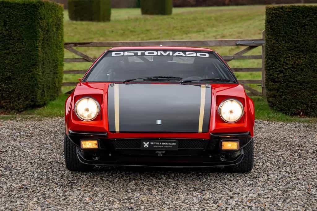 DeTomaso Pantera Factory Gr.3/FIA/Full history/N°18 of 26 01/1973-photo-2