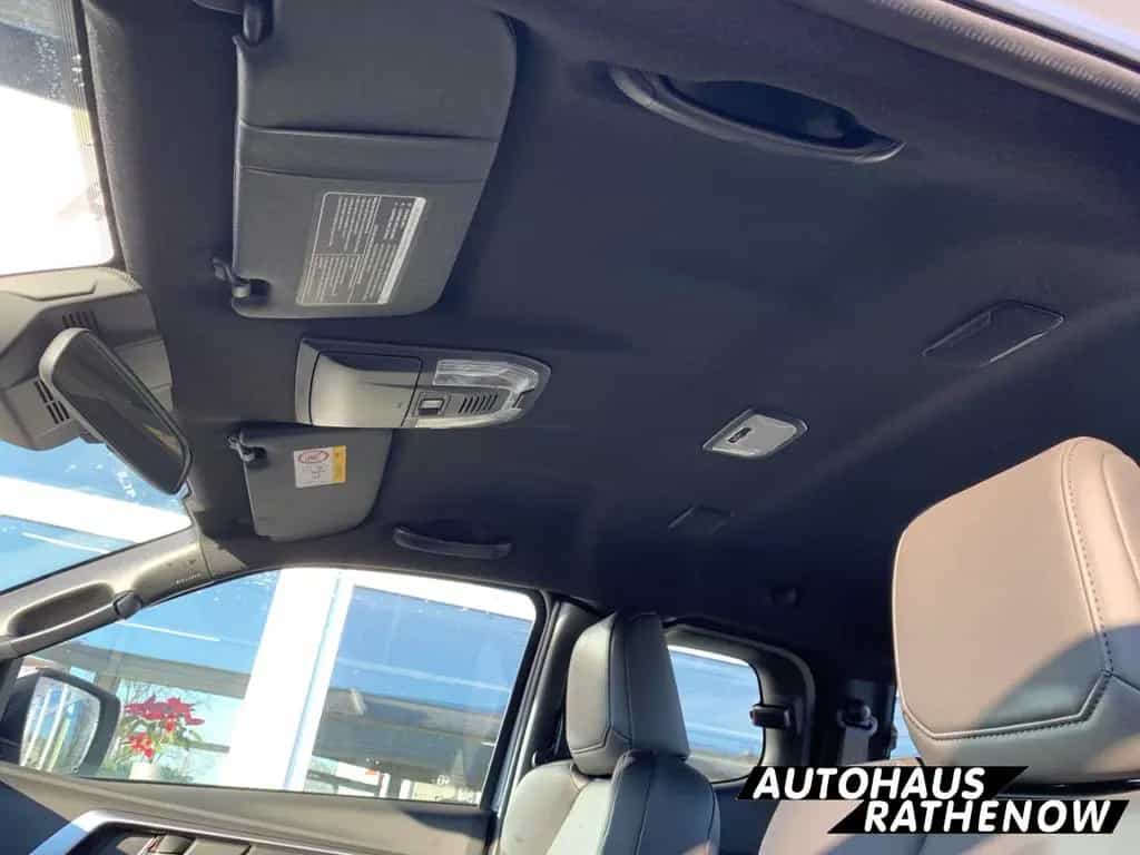 Isuzu D-Max Space Cab Allrad LSE Automatik Leder digit null-photo-12