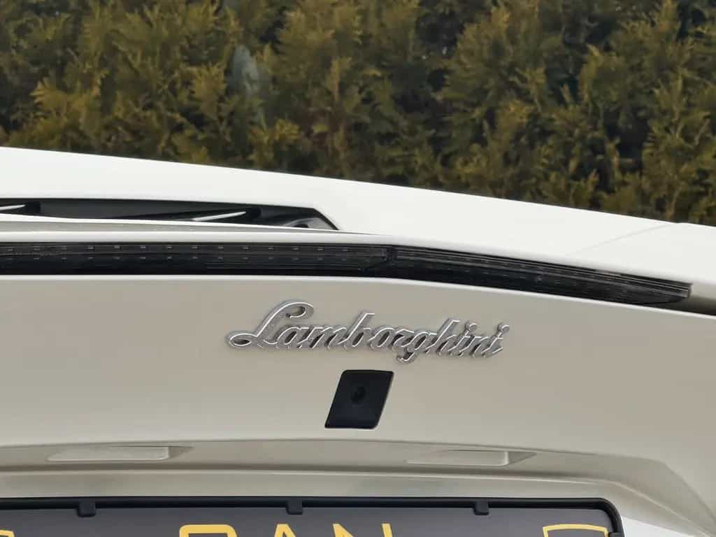 Lamborghini Aventador LP 700-4 Roadster*LIFT*SPORT EXHAUST* 07/2014-photo-20