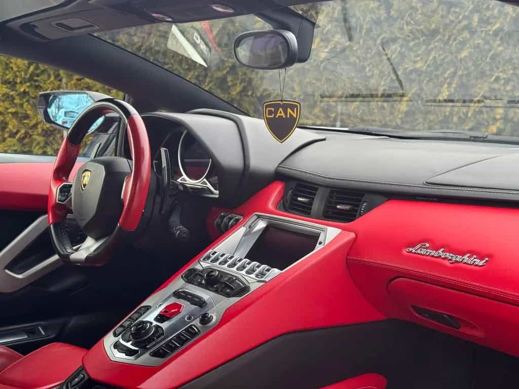 Lamborghini Aventador LP 700-4 Roadster*LIFT*SPORT EXHAUST* 07/2014-photo-34