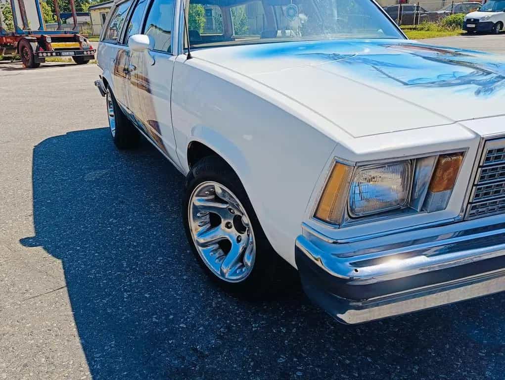 Chevrolet Malibu 79' 5,0 V8 Wagon Schnäppchen 04/1979-photo-6
