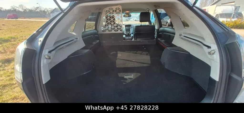 Lexus RX 300 Executive 01/2005-photo-5