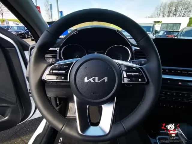 Kia Ceed 1,0T DCT Ultimate +NAVI+Bluetooth+16Zoll 10/2025-photo-14