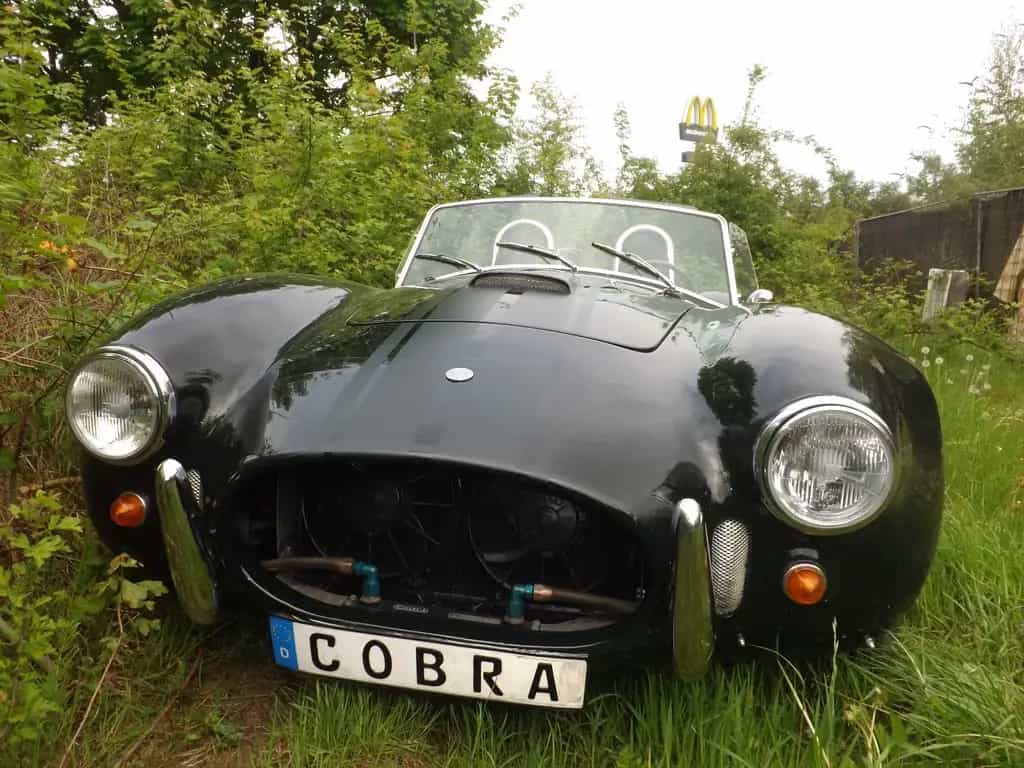 Cobra Other Replica - sogar ein original Phoenix Cobra! 04/1973-photo-1