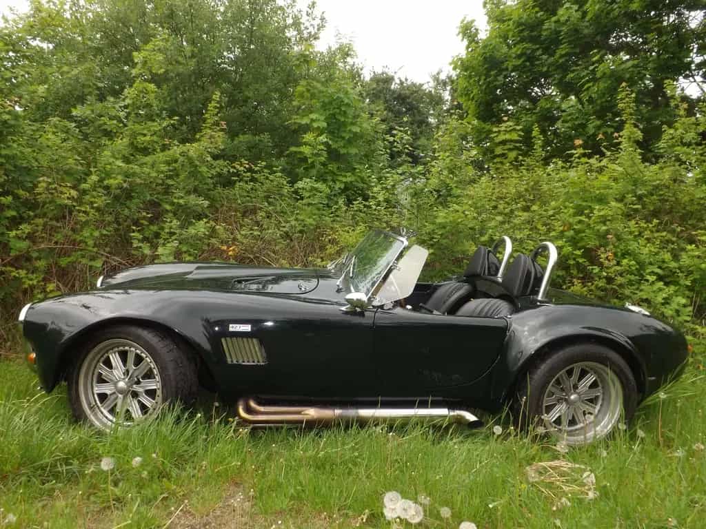 Cobra Other Replica - sogar ein original Phoenix Cobra! 04/1973-photo-2