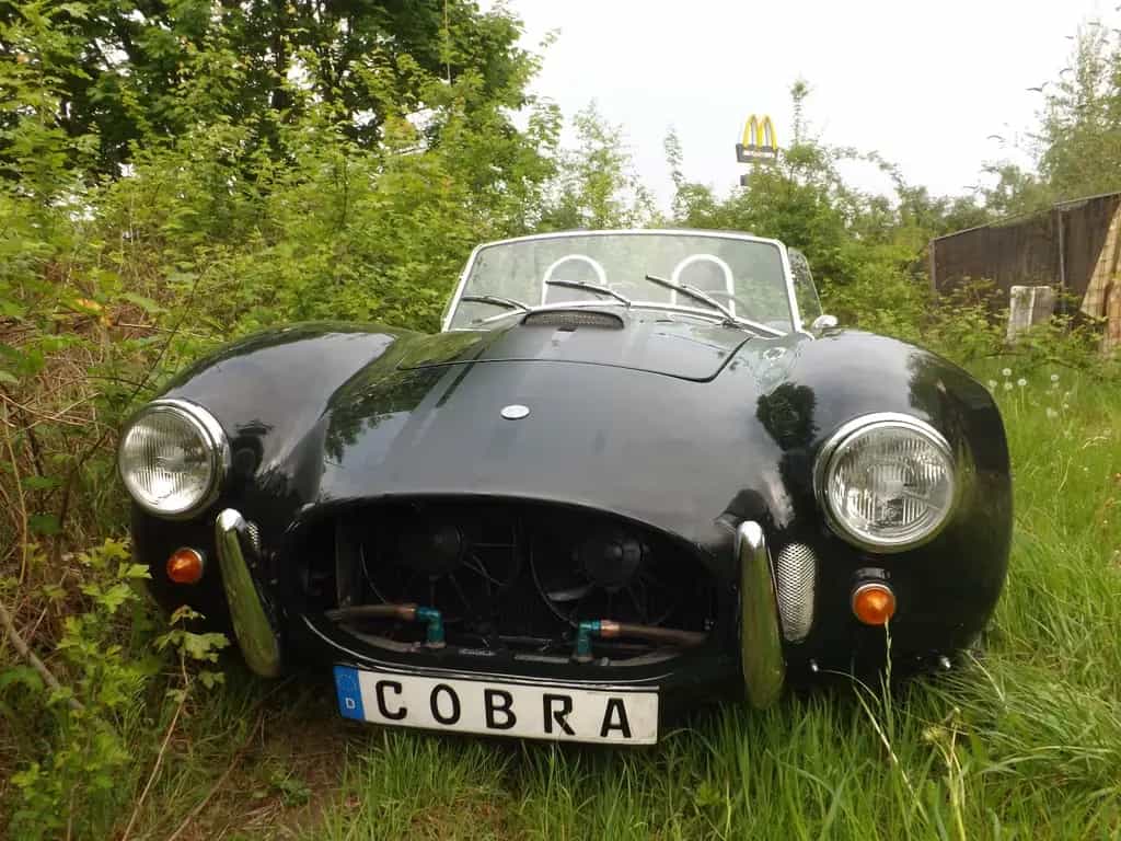 Cobra Other Replica - sogar ein original Phoenix Cobra! 04/1973-photo-4