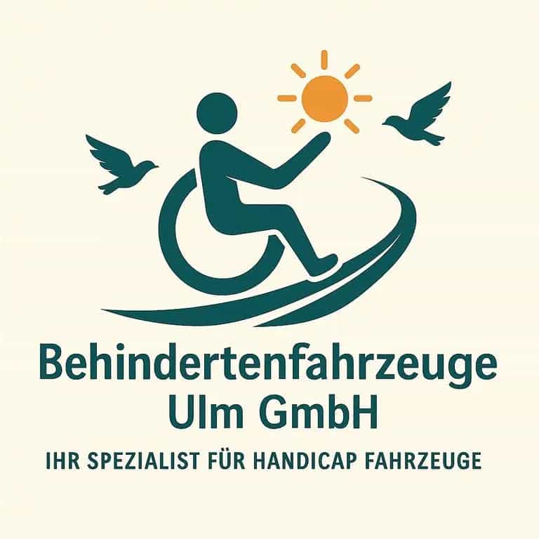 Volkswagen Caddy Behindertengerecht-Rampe 07/2013-photo-21