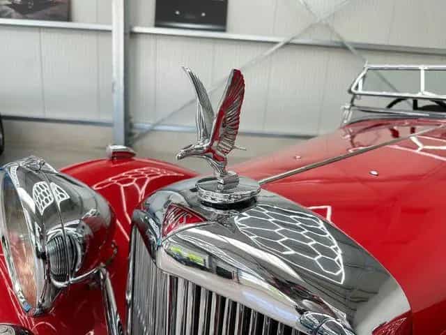Alvis Other Speed 25 Open Tourer by Cross & Ellis 4 Seater 06/1937-photo-8