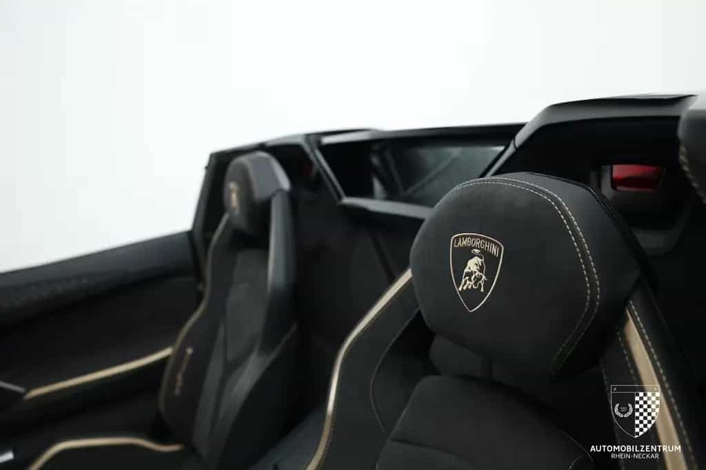 Lamborghini Aventador Ultimae Roadster 1 of 250/FullCarbon 06/2022-photo-13