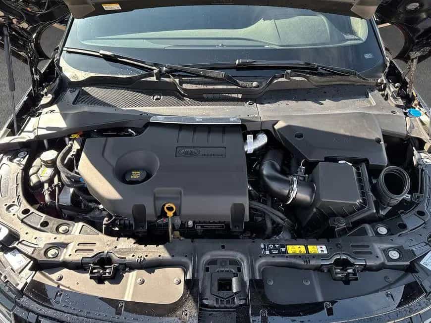 Land Rover Range Rover Rover Evoque D200 Dynamic SE 01/2025-photo-9
