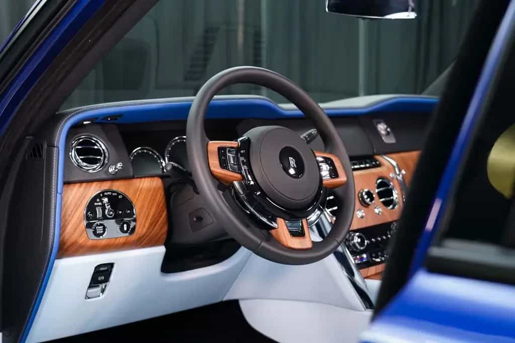 Rolls-Royce Cullinan Onyx Concept 01/2019-photo-12