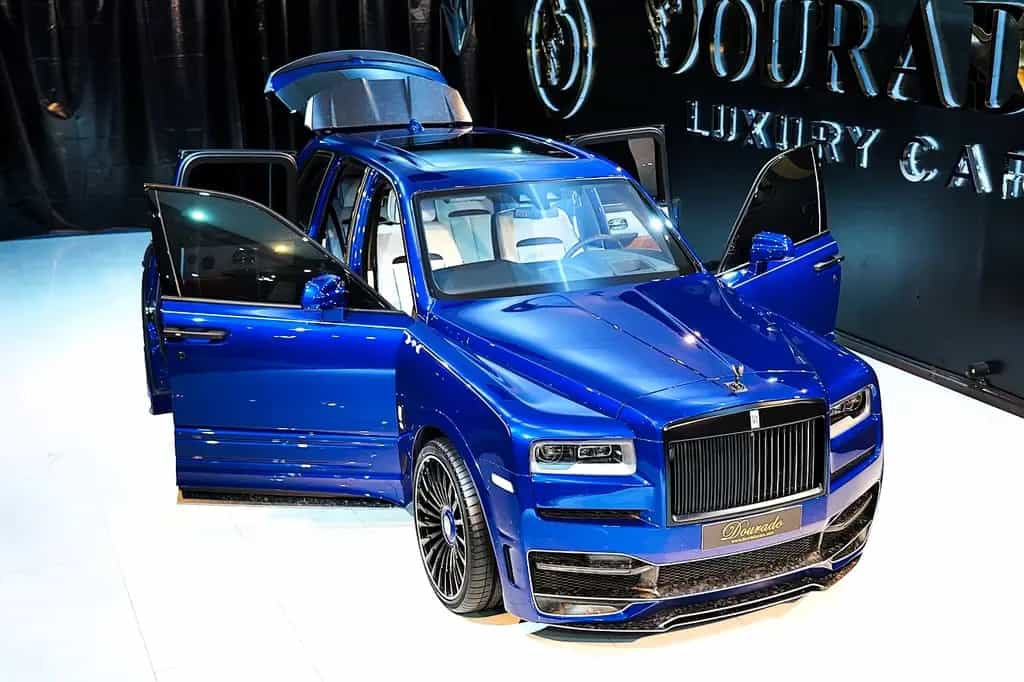 Rolls-Royce Cullinan Onyx Concept 01/2019-photo-6