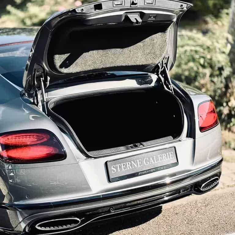 Bentley Continental GT 6.0 W12 SPEED/RÜCKF/VORDERK/ACC 02/2017-photo-9