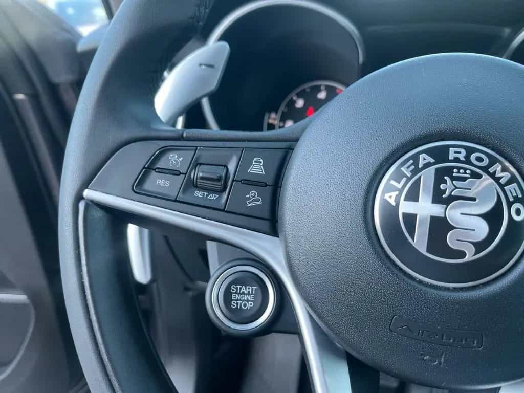 Alfa Romeo Stelvio 2.2 Turbodiesel 210 CV AT8 Q4 07/2019-photo-7