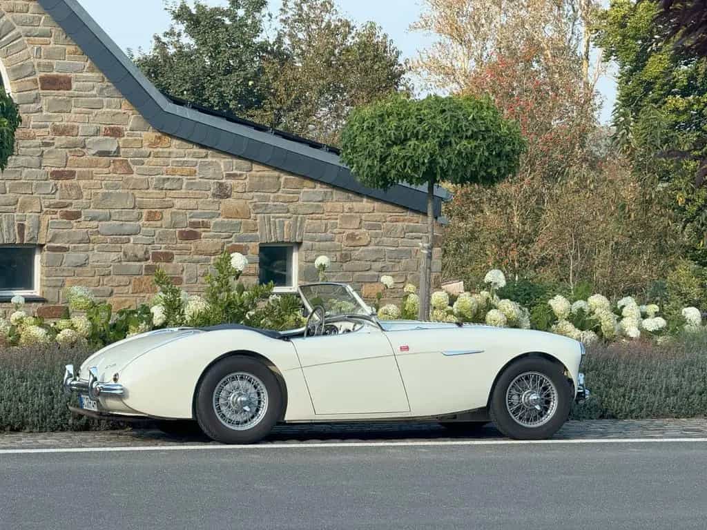 Austin Healey Other 100 BN1 mit Le Mans Specification 07/1954-photo-1