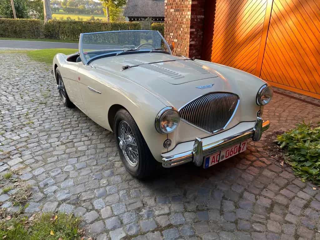 Austin Healey Other 100 BN1 mit Le Mans Specification 07/1954-photo-12