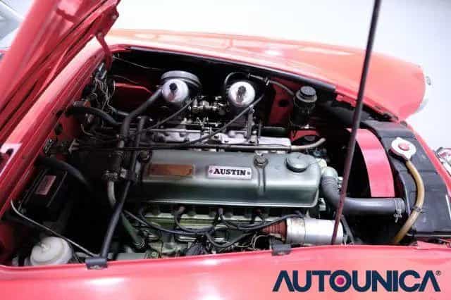 Rover Other AUSTIN Healey 3000 MK III CABRIO ISCRITTA REGIST 01/1965-photo-12