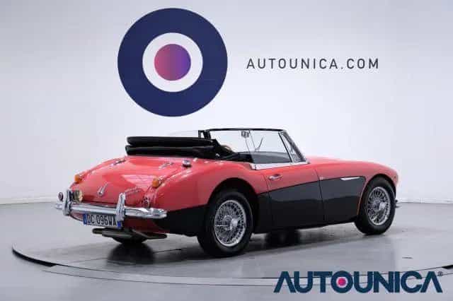Rover Other AUSTIN Healey 3000 MK III CABRIO ISCRITTA REGIST 01/1965-photo-14