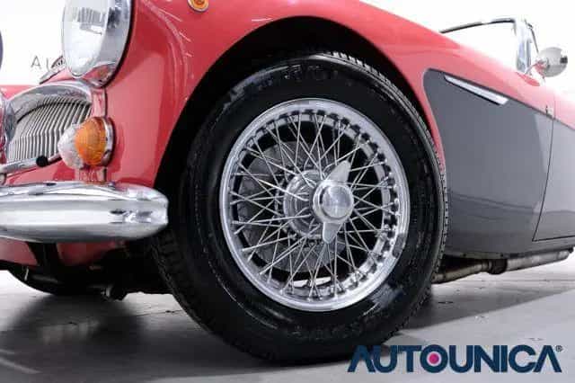 Rover Other AUSTIN Healey 3000 MK III CABRIO ISCRITTA REGIST 01/1965-photo-9