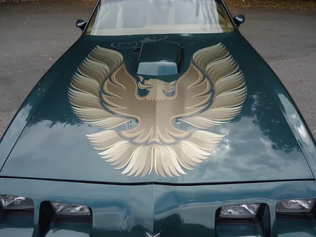 Pontiac Trans Am 6.6l Manual 01/1979-photo-10