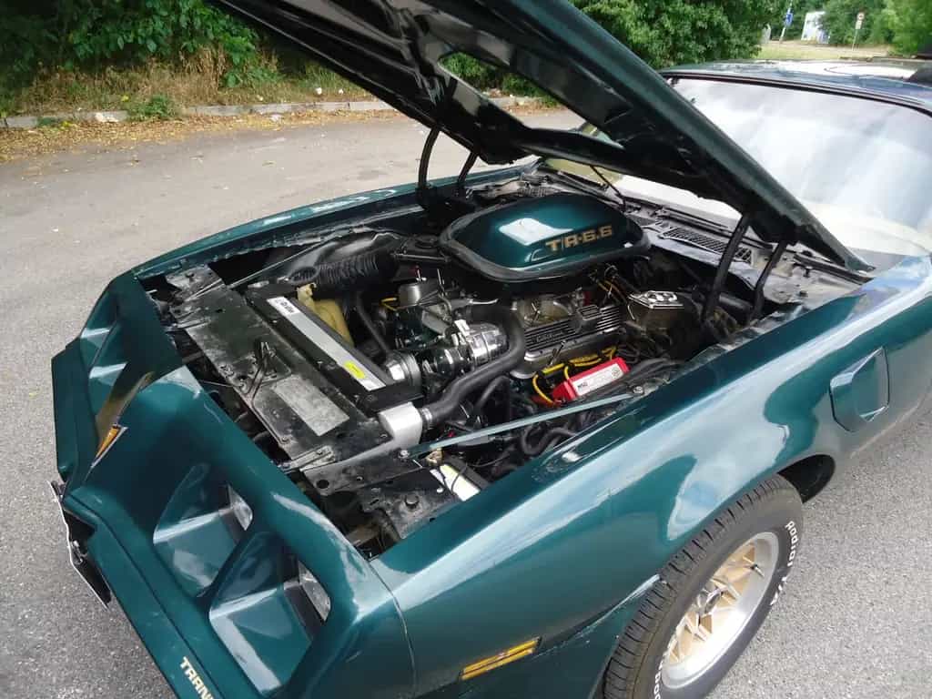 Pontiac Trans Am 6.6l Manual 01/1979-photo-11