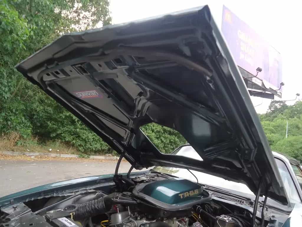 Pontiac Trans Am 6.6l Manual 01/1979-photo-12