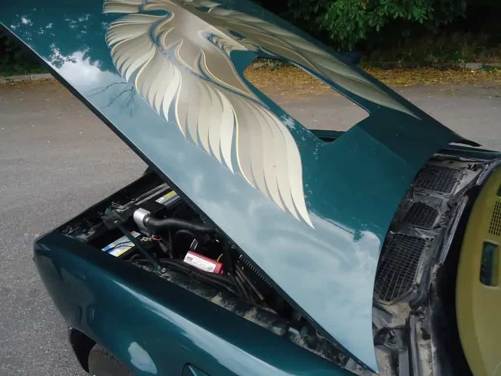 Pontiac Trans Am 6.6l Manual 01/1979-photo-13