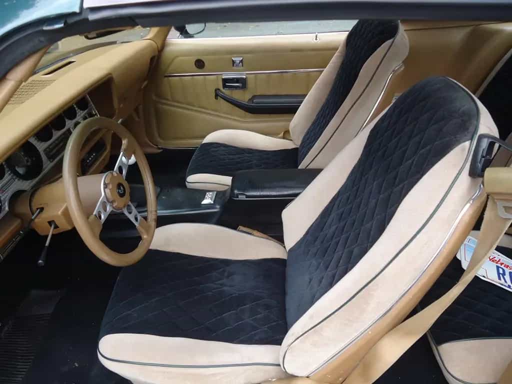 Pontiac Trans Am 6.6l Manual 01/1979-photo-15
