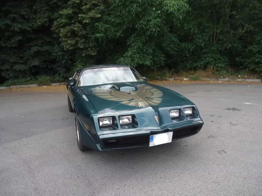 Pontiac Trans Am 6.6l Manual 01/1979-photo-8