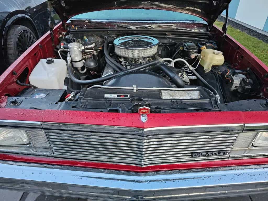 Chevrolet El Camino 07/1981-photo-5