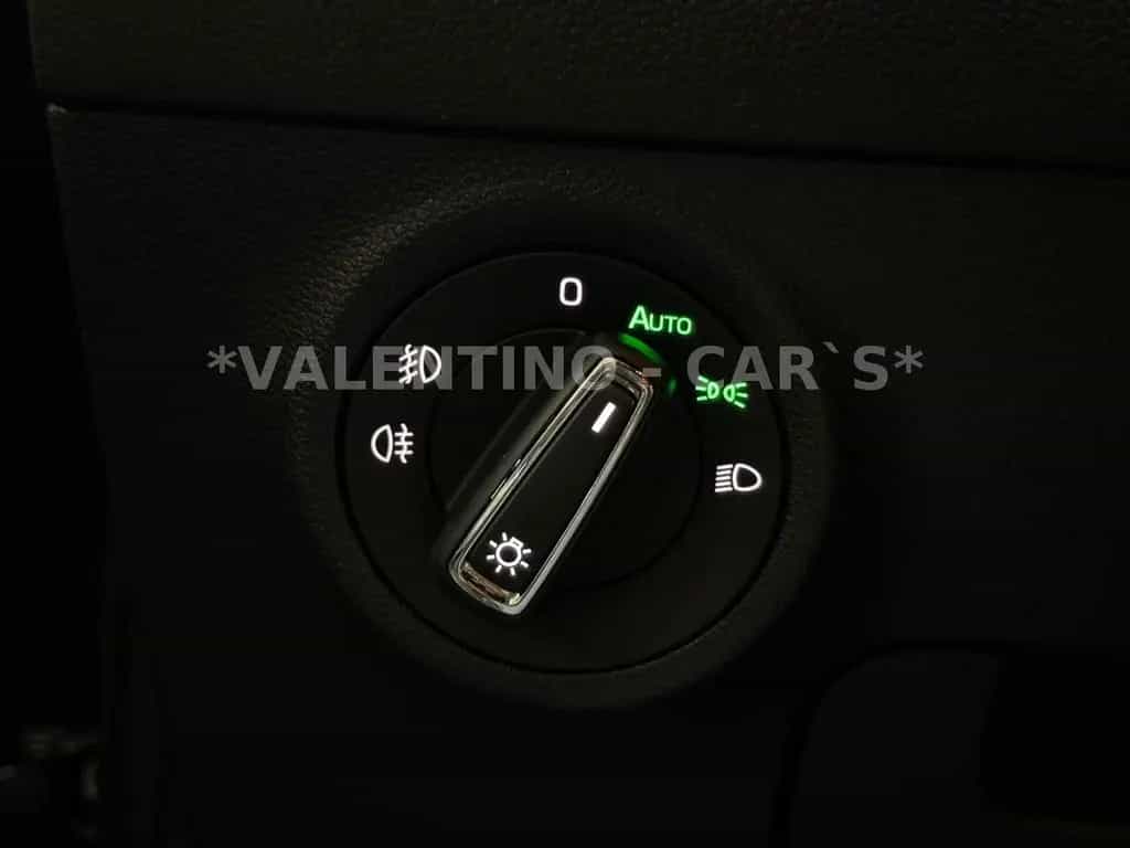 Skoda Karoq Style Virtual/DSG/Navi/Temp/Kam/Shz/ACC 11/2018-photo-32