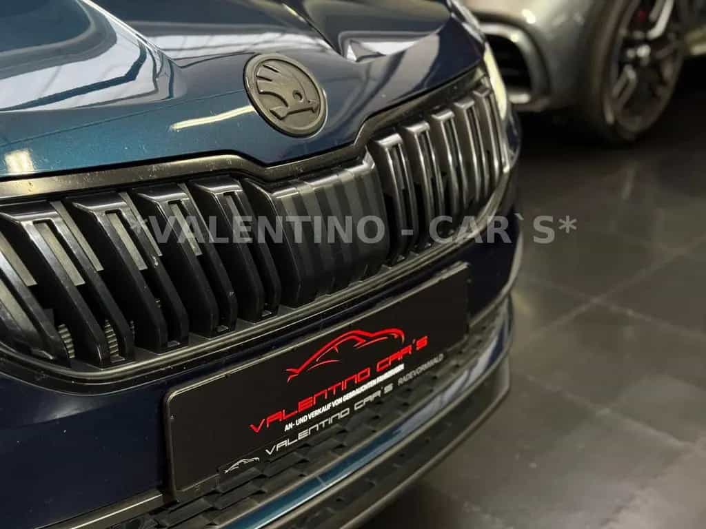 Skoda Karoq Style Virtual/DSG/Navi/Temp/Kam/Shz/ACC 11/2018-photo-37