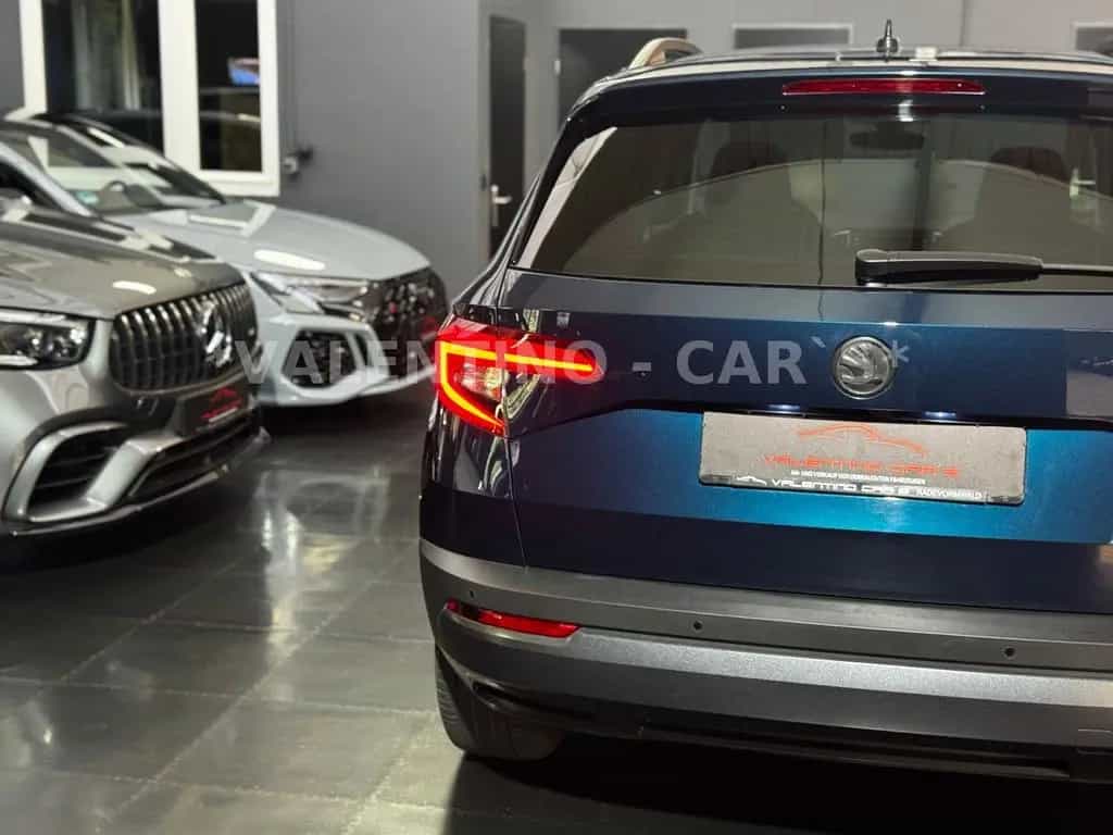 Skoda Karoq Style Virtual/DSG/Navi/Temp/Kam/Shz/ACC 11/2018-photo-40