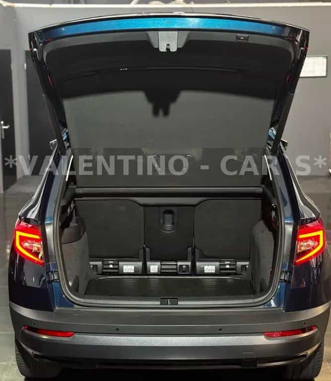 Skoda Karoq Style Virtual/DSG/Navi/Temp/Kam/Shz/ACC 11/2018-photo-42