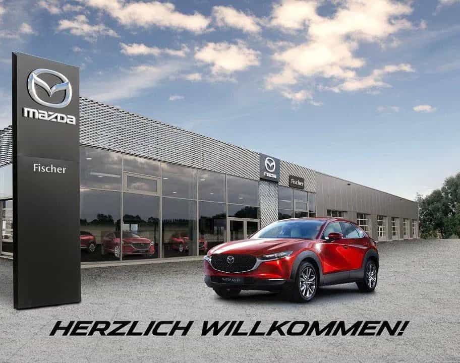 Mazda CX-30 2.5 (140PS) Schalter Homura Sitzheizung Na 02/2026-photo-20