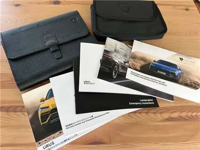 Lamborghini Urus 4.0 V8 4WD White (2019) 06/2019-photo-25