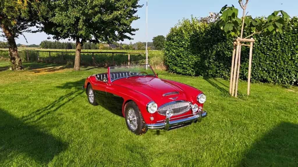Austin Healey Other Andere 07/1962-photo-14